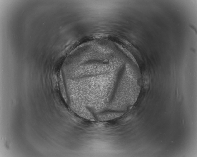 X0000102780523200809081030