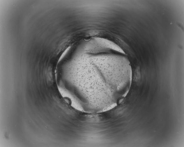 X0000102780524200809081030