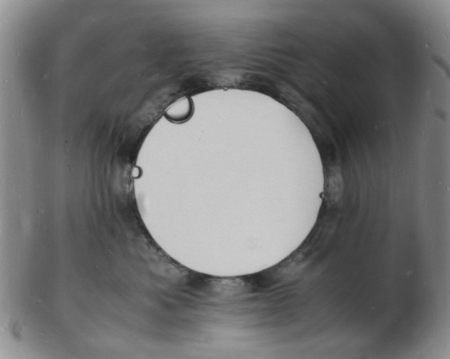 X0000102780525200809081030