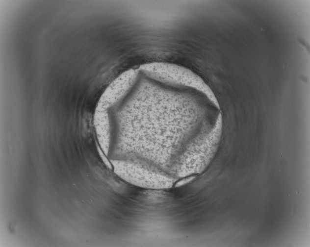 X0000102780528200809081030