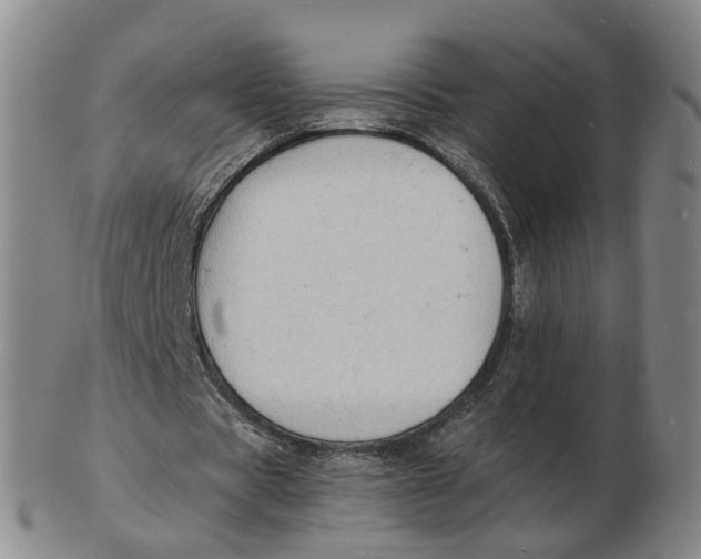 X0000102780529200809081029