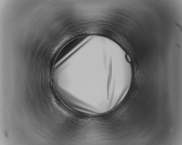 X0000102780530200809081029