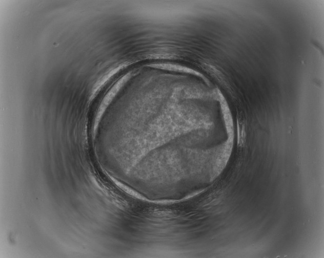 X0000102780531200809081029