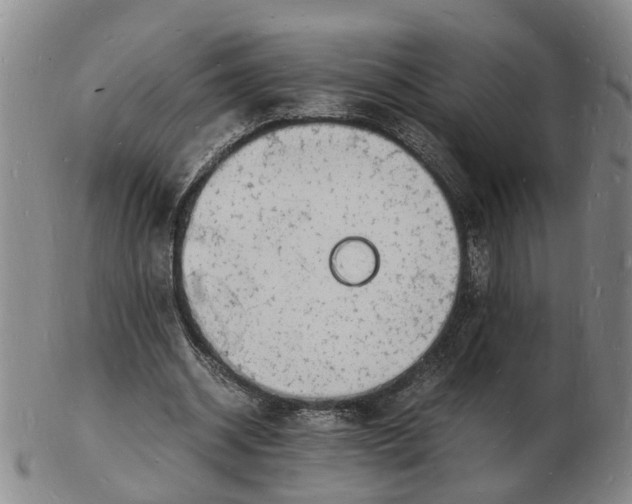 X0000102780534200809081029