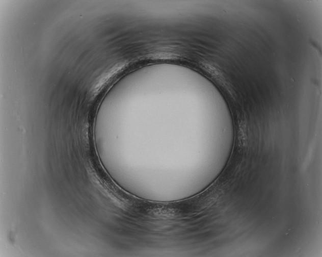 X0000102780535200809081029