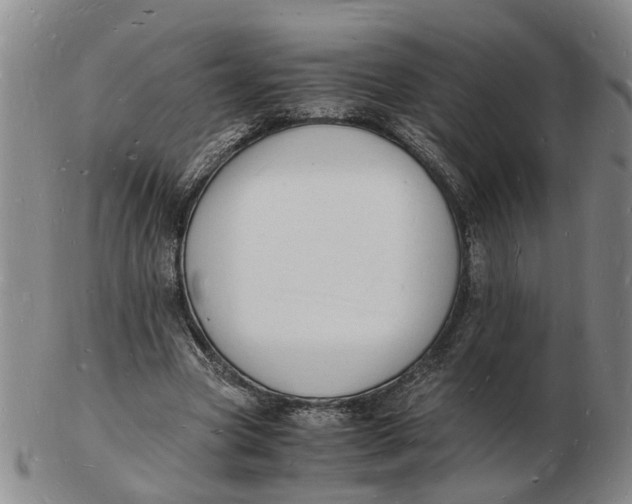 X0000102780537200809081029