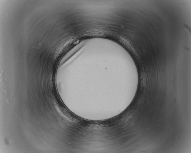 X0000102780538200809081029