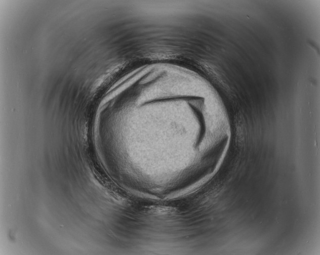 X0000102780539200809081029