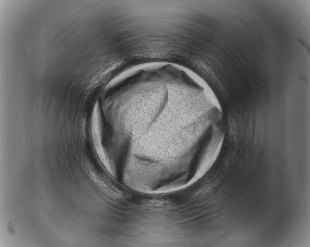 X0000102780542200809081029