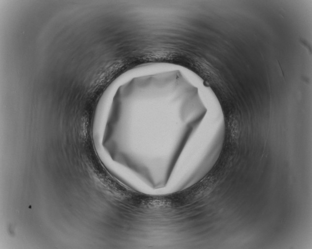 X0000102780546200809081029