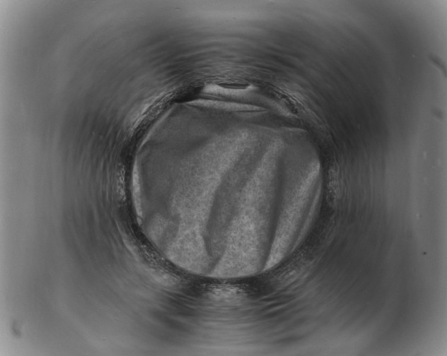 X0000102780547200809081029