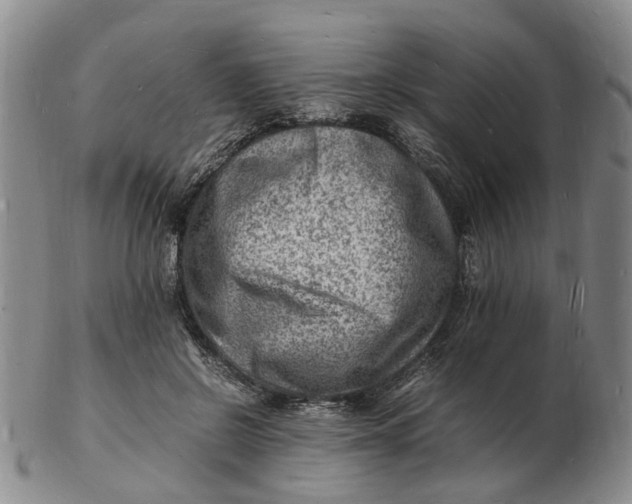 X0000102780550200809081029