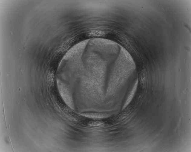 X0000102780551200809081029