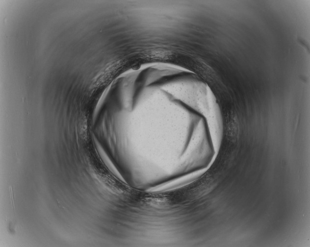 X0000102780552200809081029