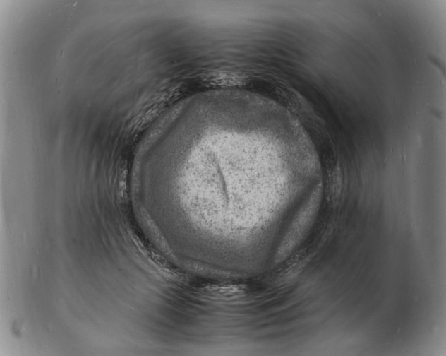 X0000102780553200809081029