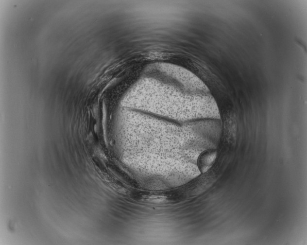 X0000102780554200809081030