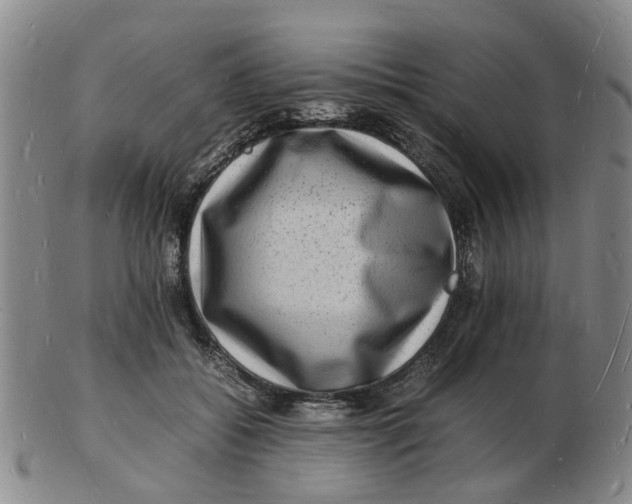 X0000102780556200809081030