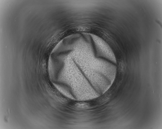 X0000102780557200809081030