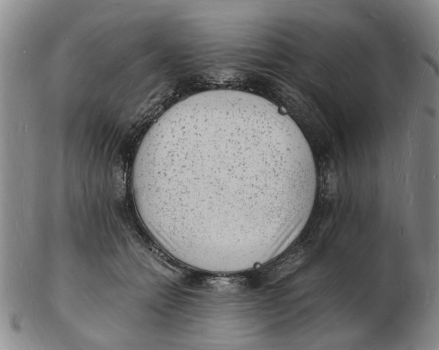 X0000102780558200809081030