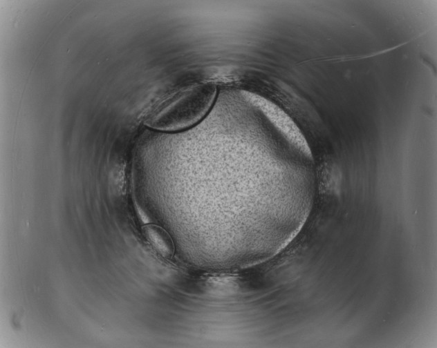 X0000102780560200809081030