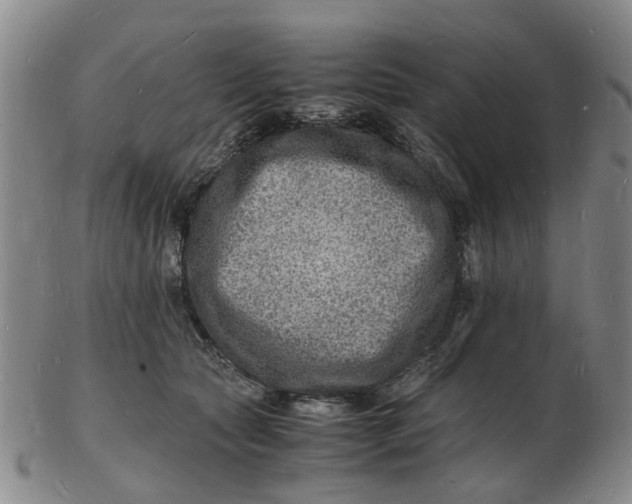 X0000102780561200809081030