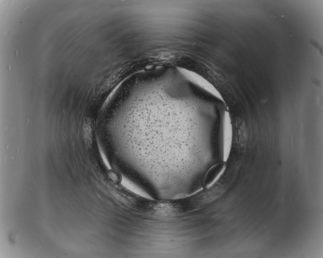 X0000102780562200809081030