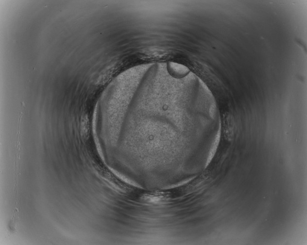 X0000102780563200809081030