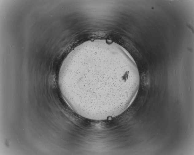 X0000102780564200809081030