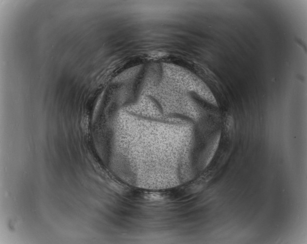 X0000102780565200809081030