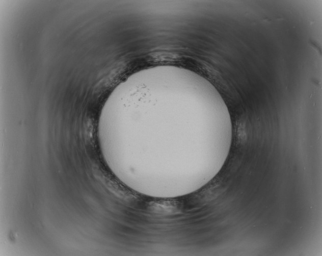 X0000102780567200809081030