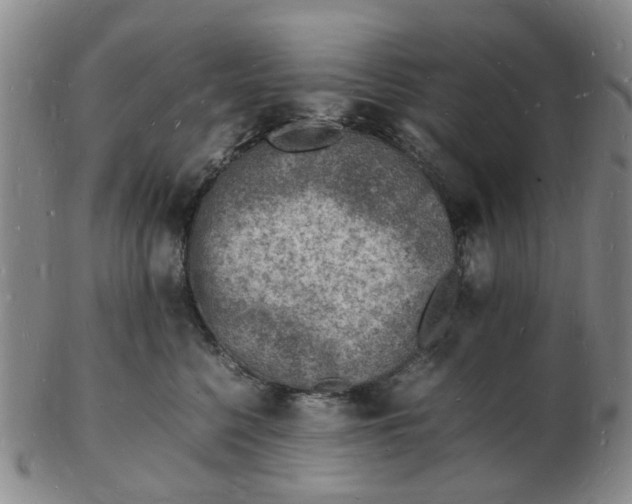 X0000102780568200809081030