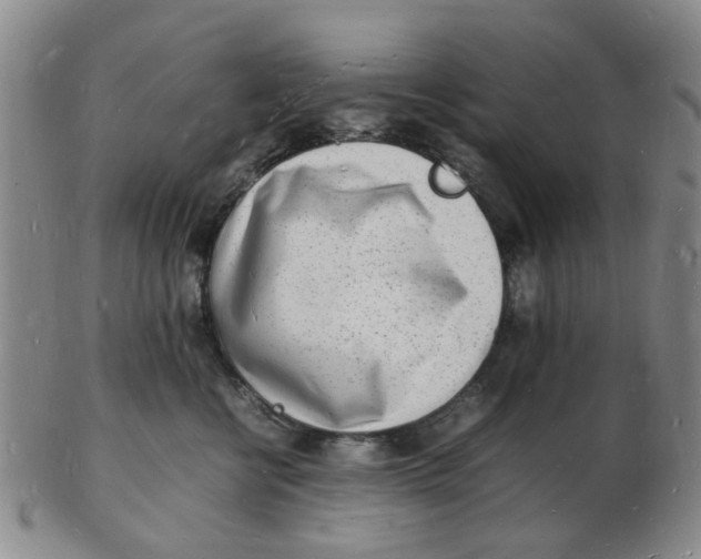 X0000102780570200809081030