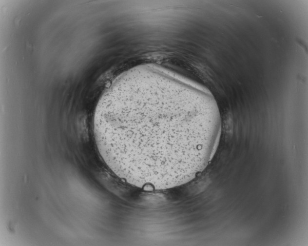 X0000102780572200809081030