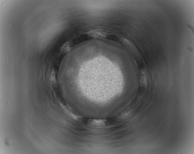 X0000102780573200809081030