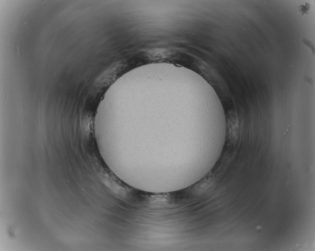 X0000102780574200809081030