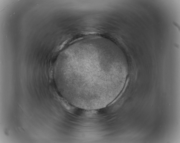 X0000102780576200809081030