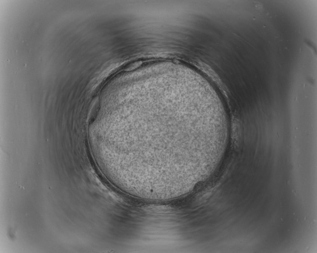 X0000102780577200809081029