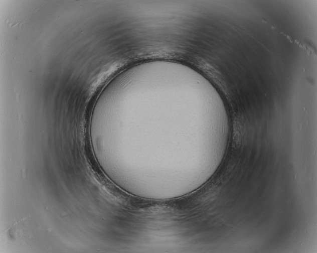 X0000102780578200809081029