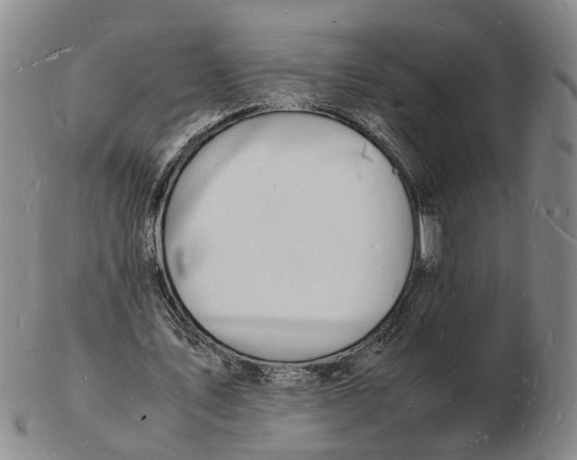 X0000102780579200809081029