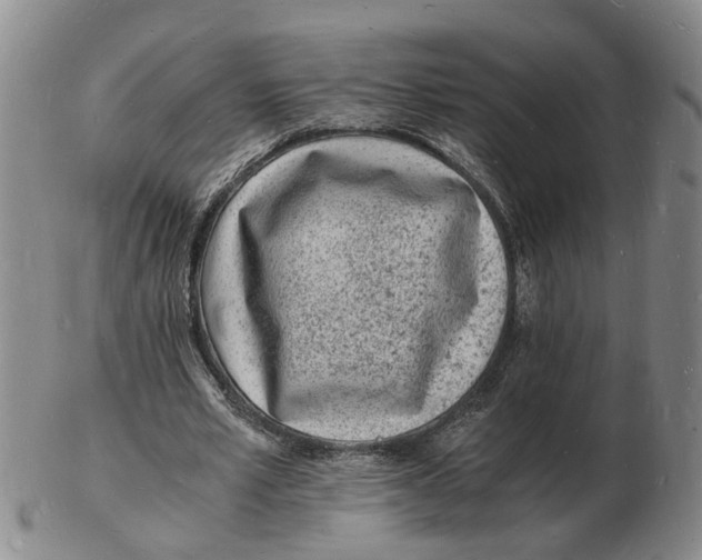 X0000102780581200809081029