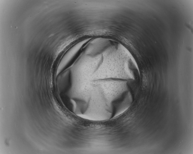 X0000102780582200809081029