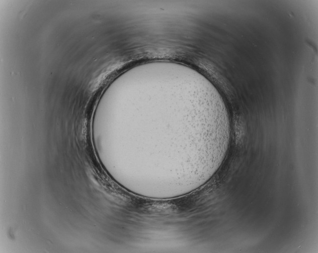 X0000102780583200809081029