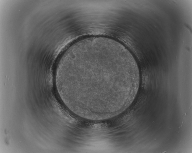 X0000102780584200809081029