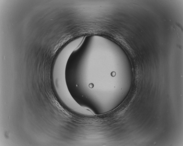 X0000102780585200809081029