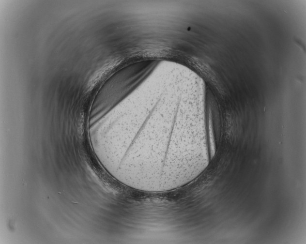 X0000102780586200809081029