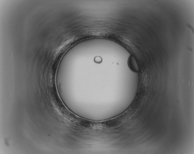 X0000102780587200809081029