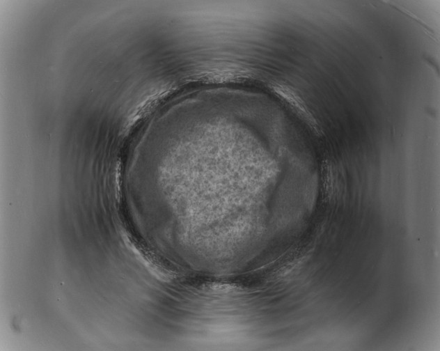 X0000102780590200809081029