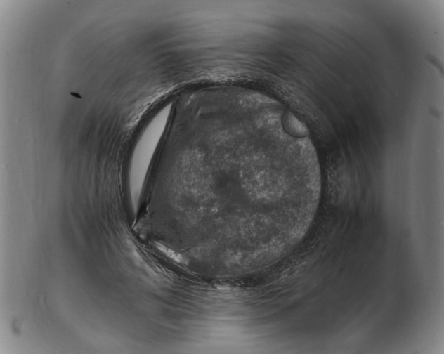 X0000102780592200809081029