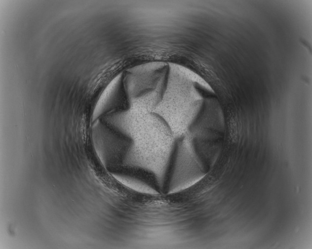 X0000102780594200809081029