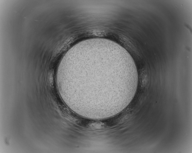 X0000102780595200809081029